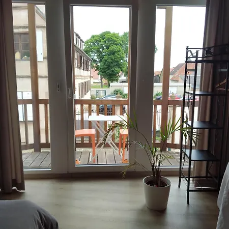 Apartman Nid De Cigognes Rosheim