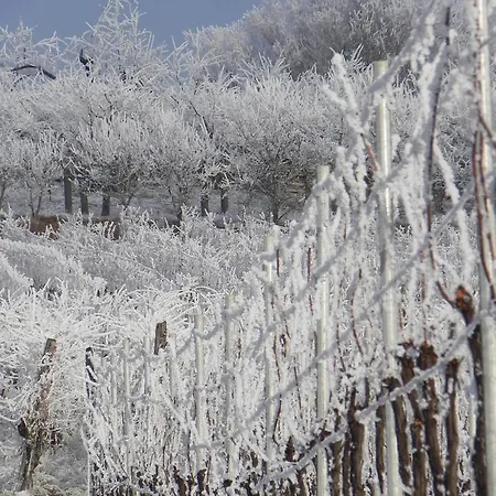 Apartament Nid De Cigognes *