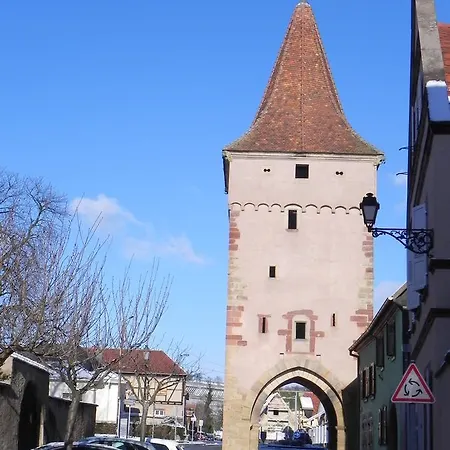 Nid De Cigognes Rosheim