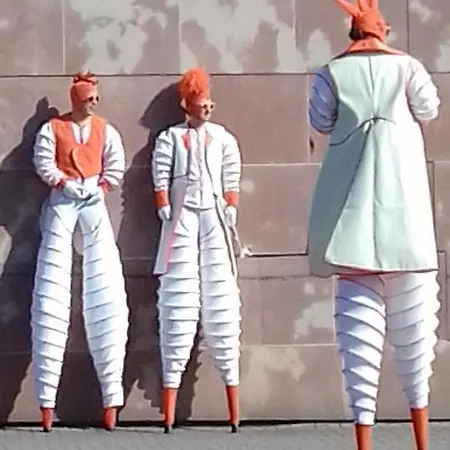 Nid De Cigognes * Rosheim