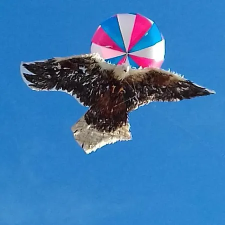 Nid De Cigognes * Rosheim