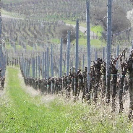 Apartament Nid De Cigognes