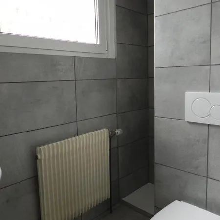 Nid De Cigognes Rosheim