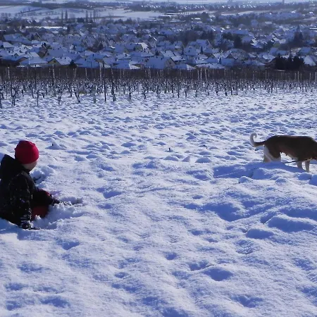 Nid De Cigognes Apartament