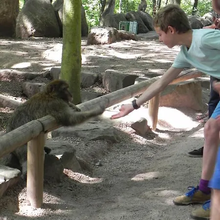 Apartament Nid De Cigognes