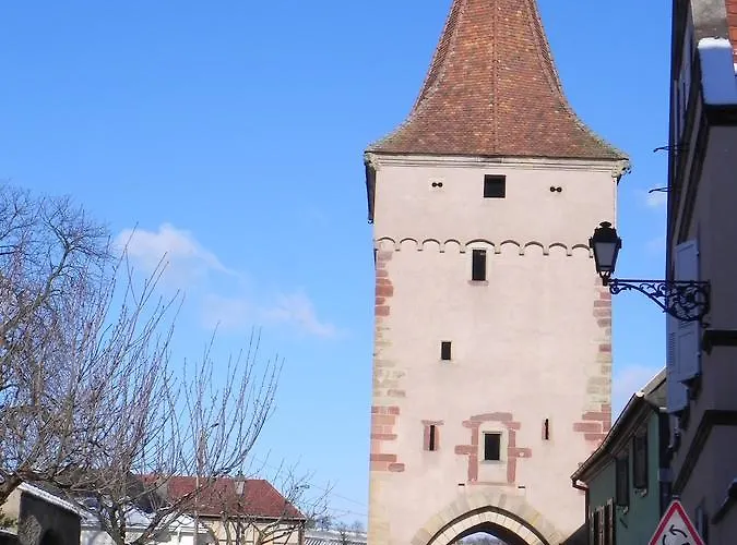 Nid De Cigognes Rosheim